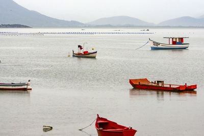 Boat moored on sea against sky