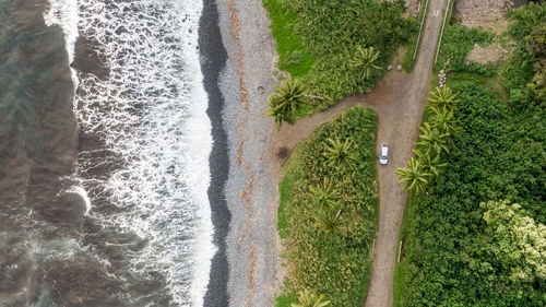 Scenic view of sea against trees