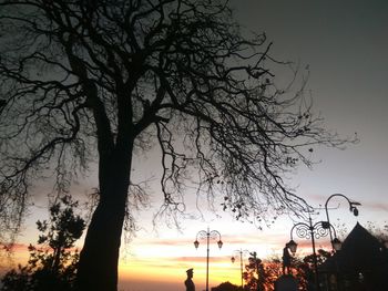 Silhouette of tree against sky at sunset