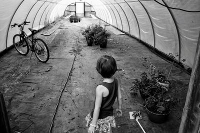 High angle view of girl standing against bicycle in greenhouse