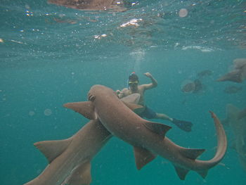 Low section of man swimming in sea