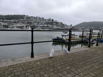 Scenic view of river by city against sky