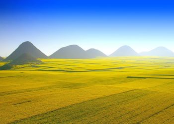 Scenic view of landscape against clear sky
