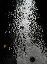 Reflection of trees in water