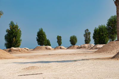 Trees on desert against clear blue sky