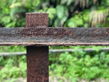 Close-up of old wooden post
