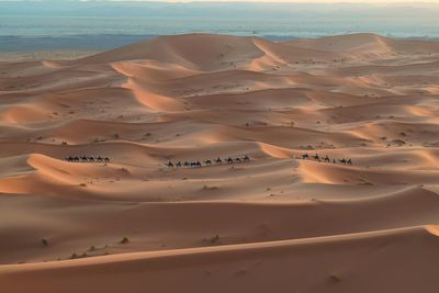 Scenic view of desert