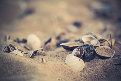 Surface level of sand on beach