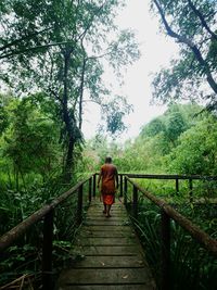 Rear view of man walking on footbridge in forest