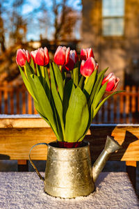 Close-up of red flowers on table