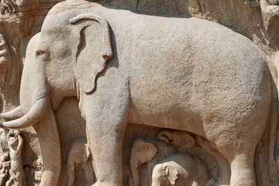 Close-up of statue