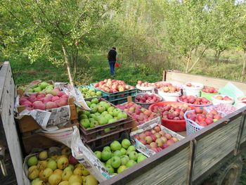 Fruits for sale at market stall