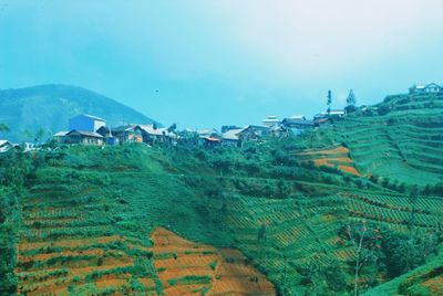 Scenic view of agricultural field by houses against sky