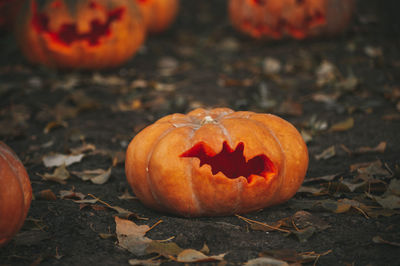 Jack o lantern on pumpkin