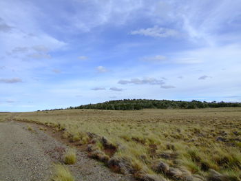 Scenic view of field against sky