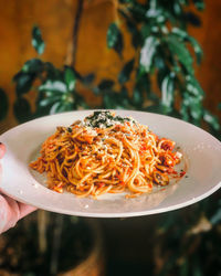 Close-up of hand holding noodles in plate