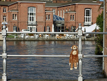 Bird on wooden post in water