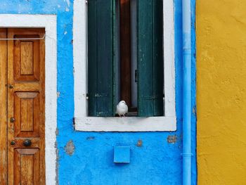 Close-up of blue door on window