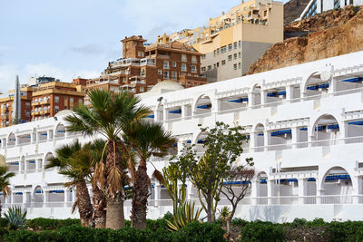 Palm trees by residential buildings against sky