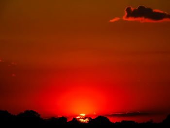 Silhouette of trees against dramatic sky