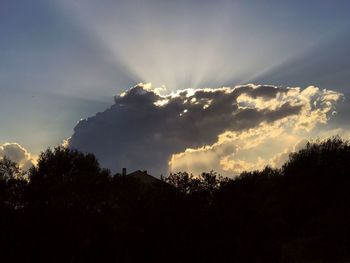 Low angle view of silhouette trees against sky