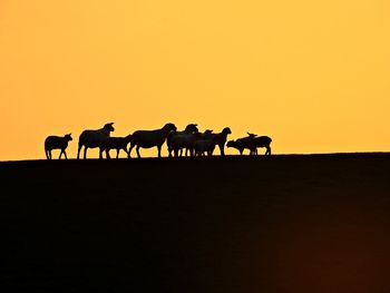 Silhouette sheep on landscape against clear sky during sunset