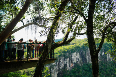 Low angle view of people standing by trees against sky