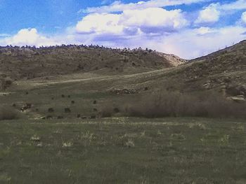 Scenic view of field against sky
