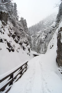 Scenic view of snow covered mountain
