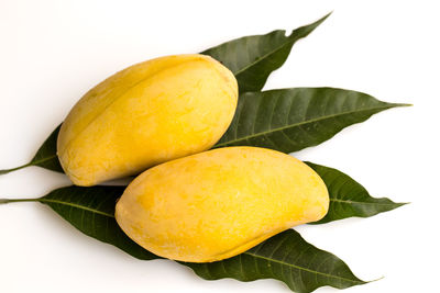 Close-up of yellow fruits on white background