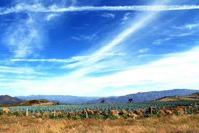 Scenic view of field against cloudy sky