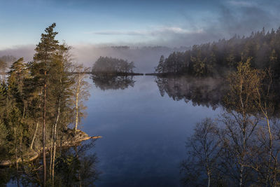 Scenic view of lake in forest against sky