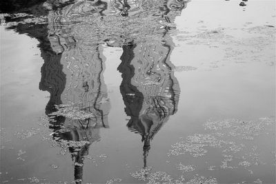 Reflection of tree in puddle