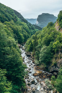 Scenic view of waterfall amidst trees against sky