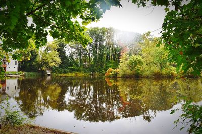 Scenic view of lake by trees against sky