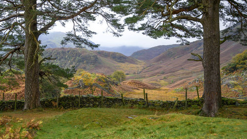 View from castle cragg towards high scawdel