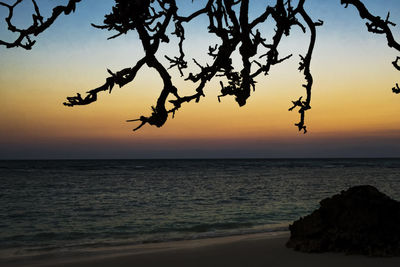 Scenic view of sea during sunset