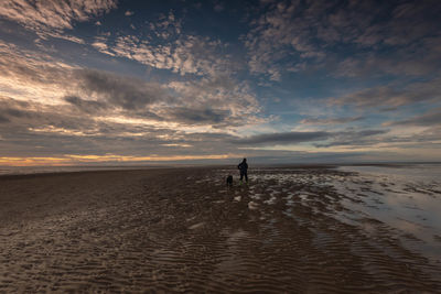 Rear view of man on beach against sky during sunset