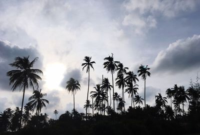 Low angle view of silhouette palm trees against sky