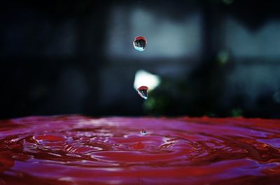 Close-up of water drops on red glass