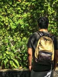 Rear view of man standing against ivy covered wall.