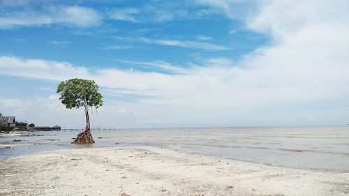 Scenic view of beach against sky