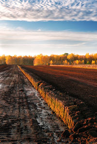 Scenic view of field against sky during sunset