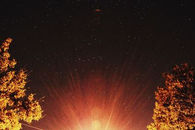 Low angle view of trees against star field