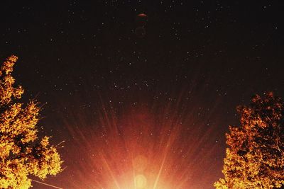 Low angle view of trees against star field