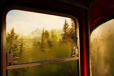 Reflection of trees on train window