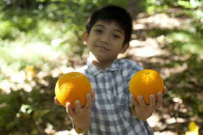 Close-up portrait of boy holding apple against trees