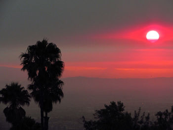 Silhouette palm trees against romantic sky at sunset