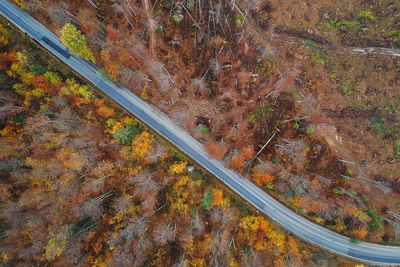 High angle view of road amidst trees during autumn