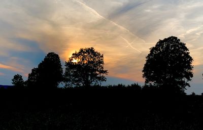 Silhouette trees on field against sky at sunset